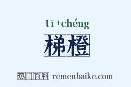 梯橙是什么意思的图片